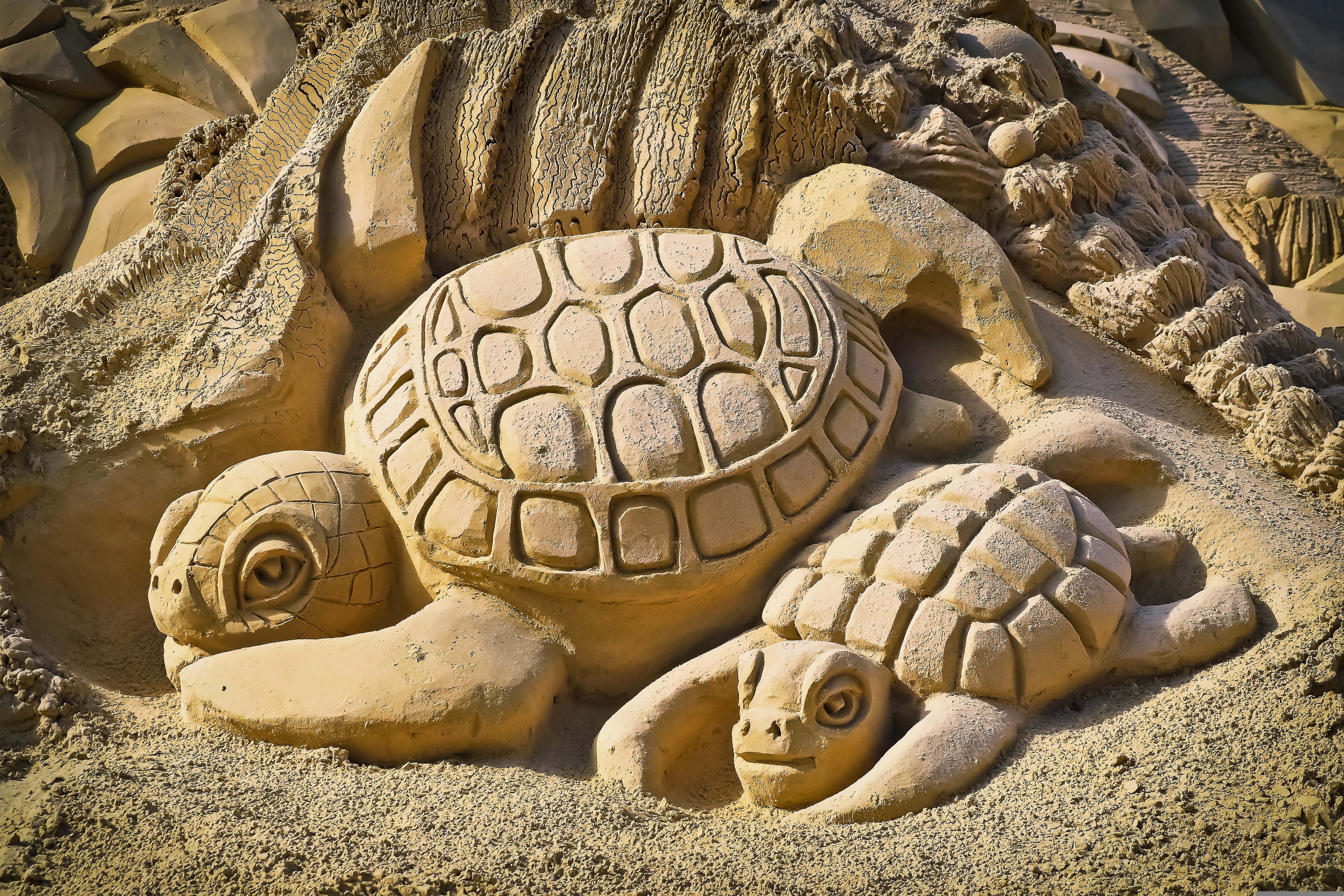What is the Pier 60 Sugar Sand Festival All About?