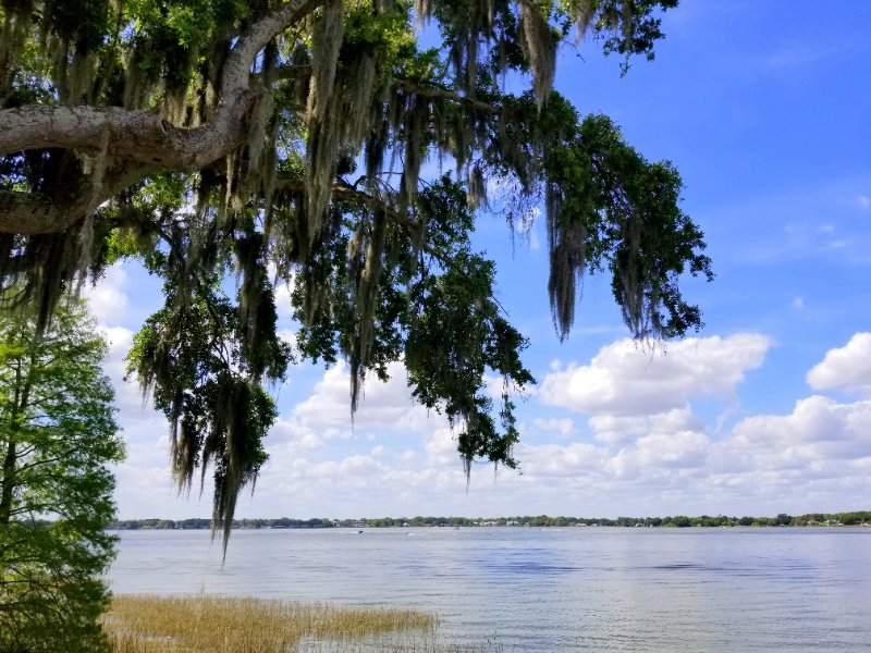 Winter Haven