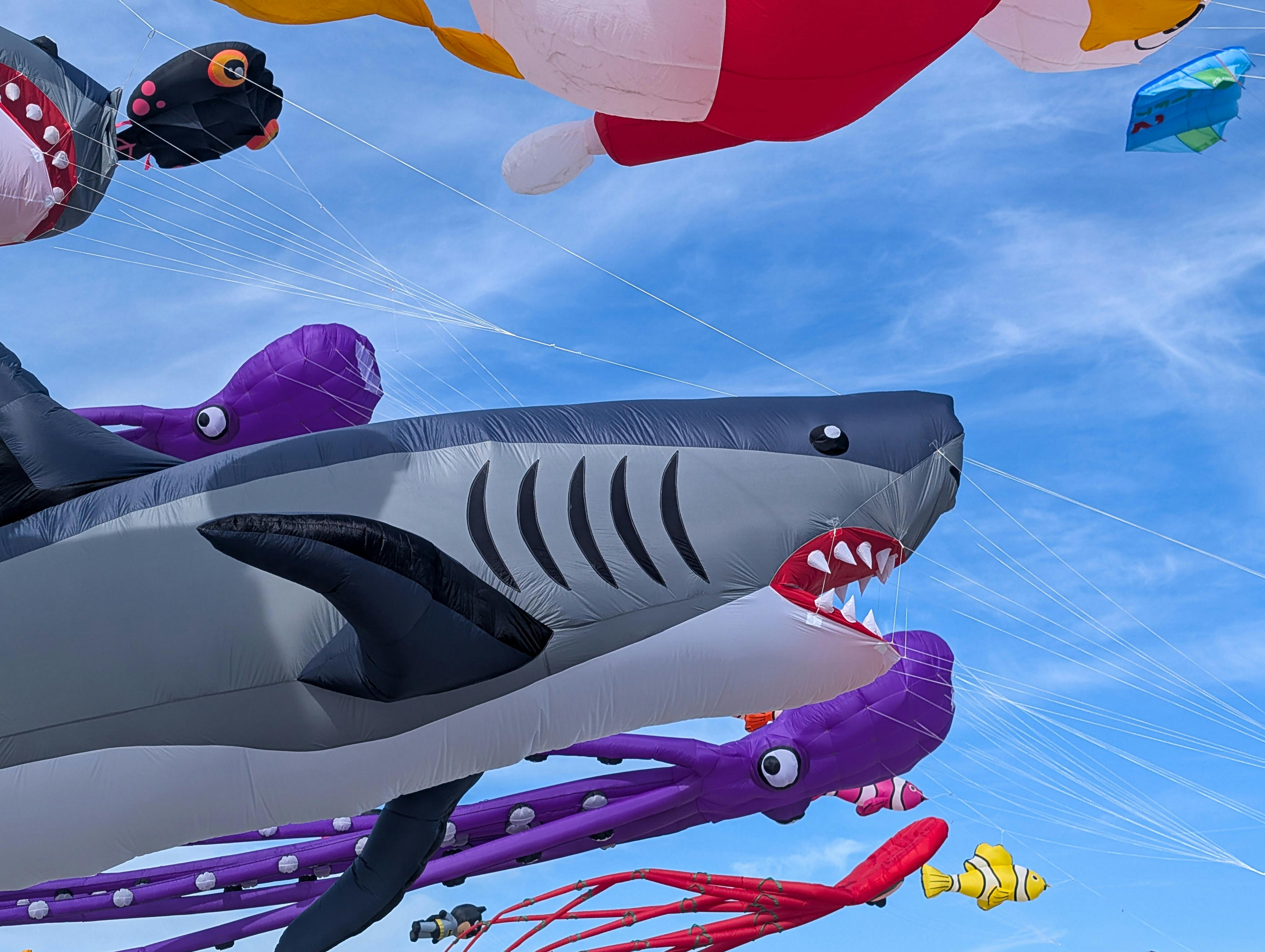 Annual Treasure Island Kite Festival & Competition